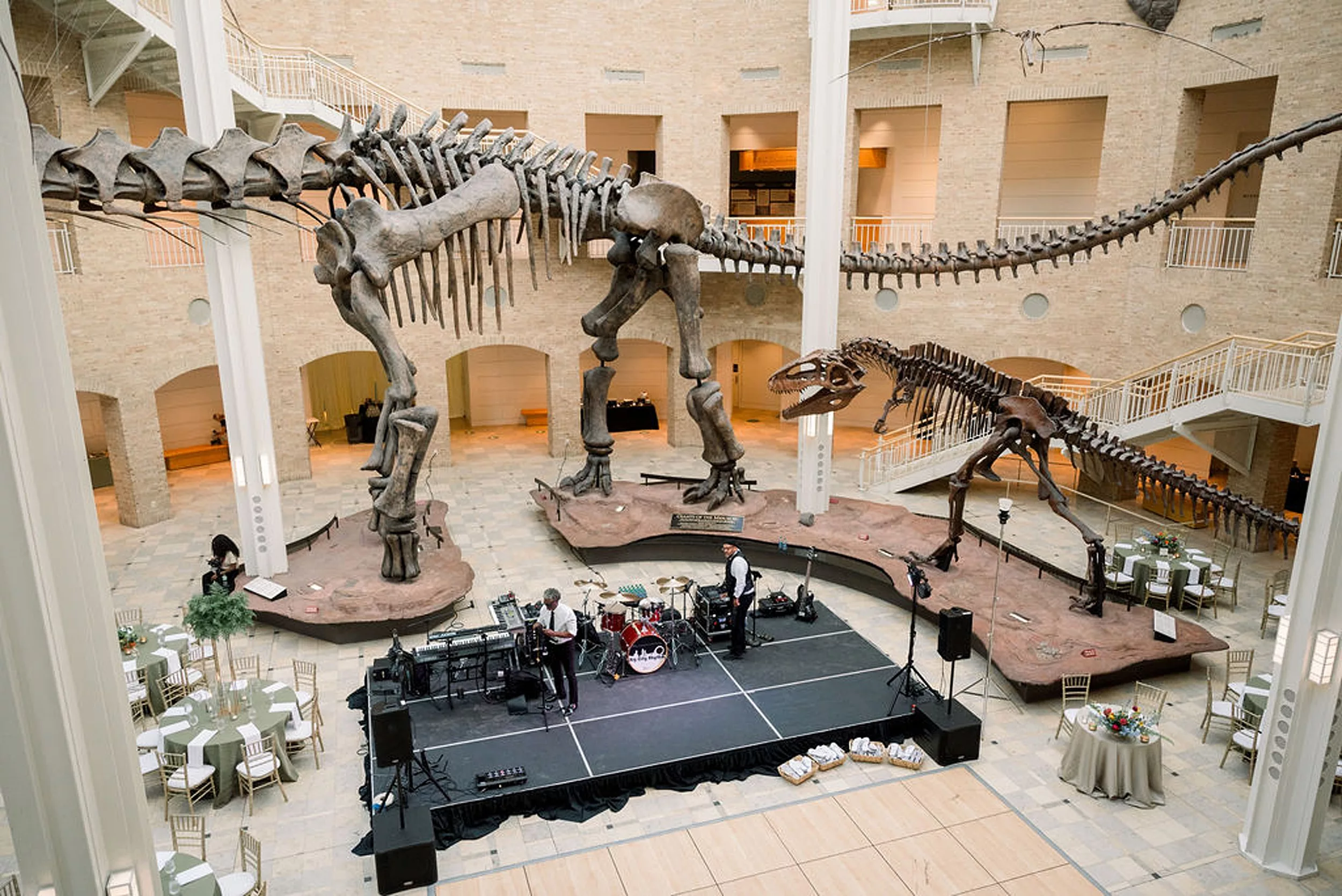 Above view of two dinosaur skeletons walking around wedding reception table and a band on a stage at a jurassic park wedding