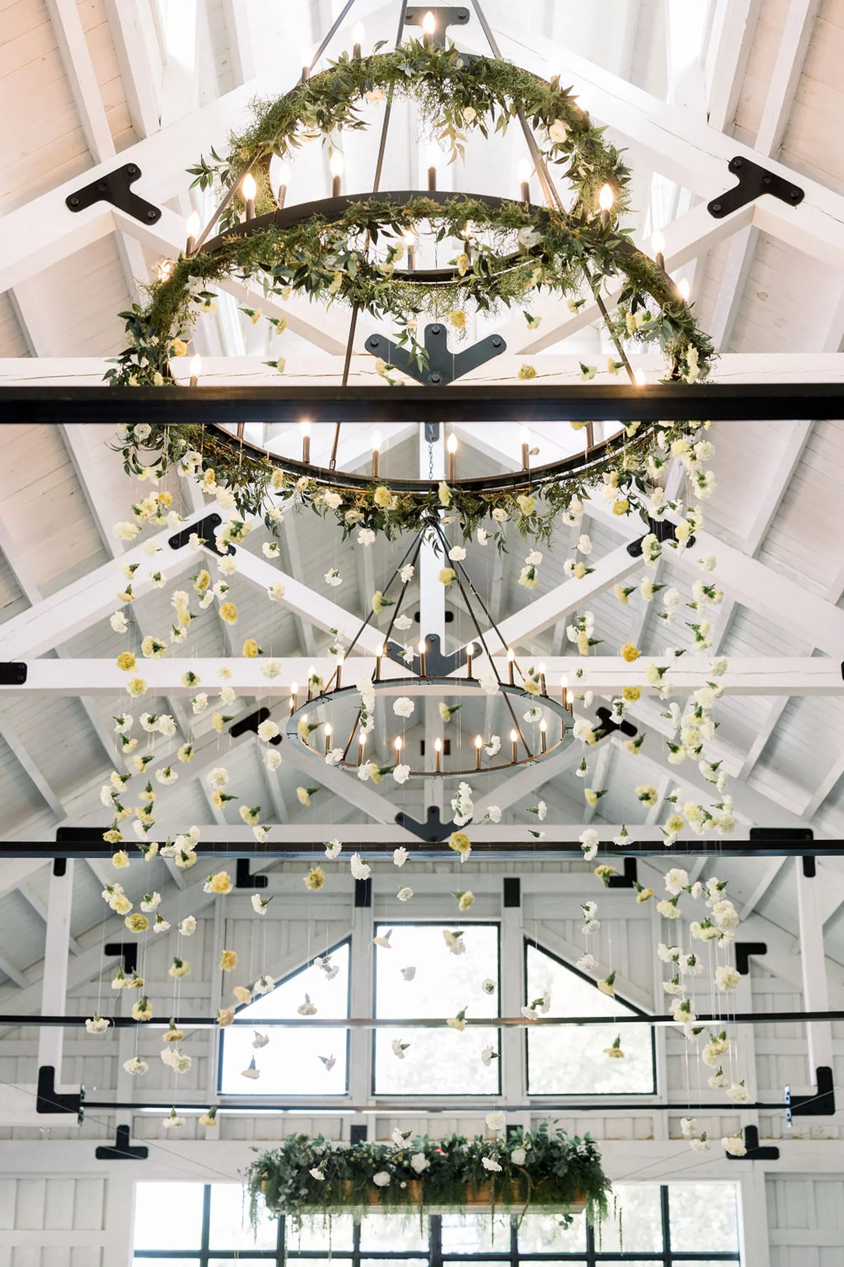 Details of live chandeliers hanging in a white reception hall