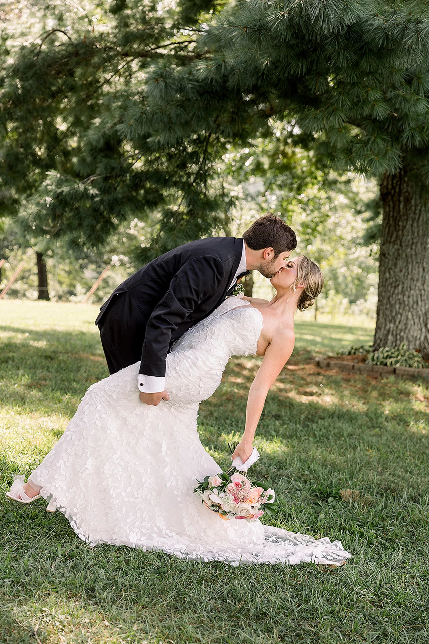A groom in a black suit dips and kisses his bride under a pine tree
