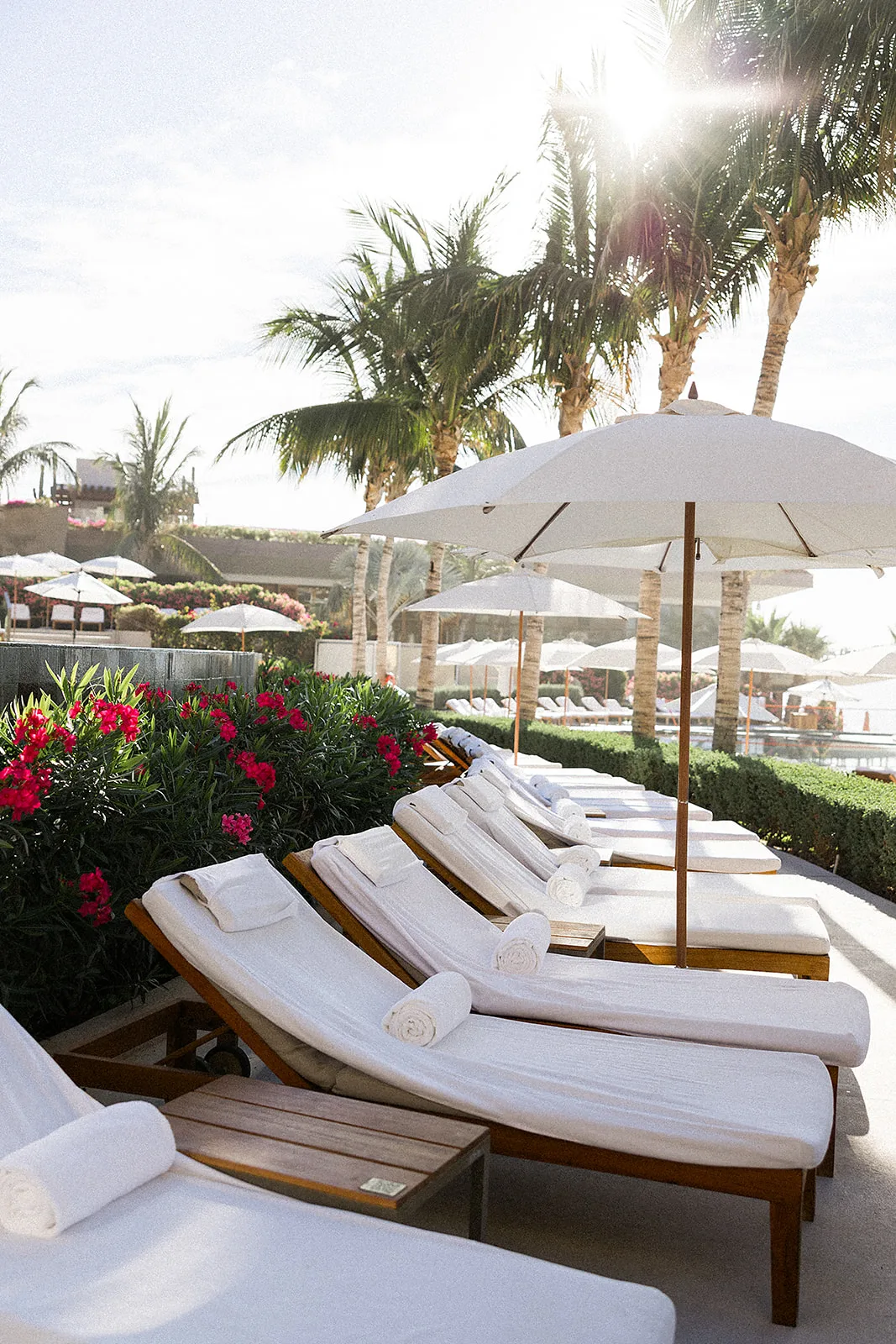 Wooden lounge beach chairs sit set up early in the morning under umbrellas by the pool